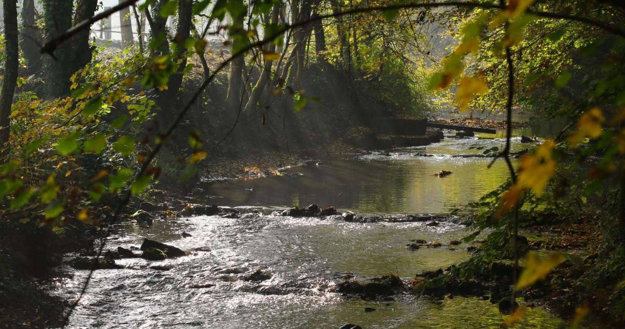 Le Cottage Quievrain Zewnętrze zdjęcie